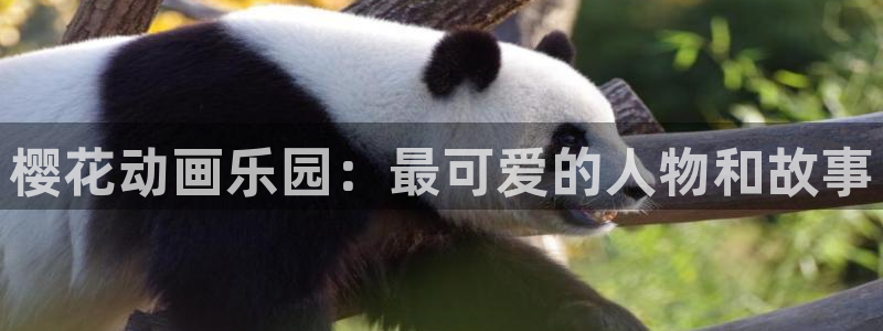 天堂动漫官网：樱花动画乐园：最可爱的人物和故事