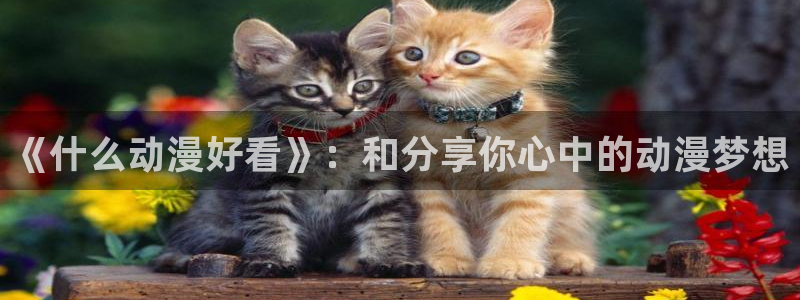 成人动漫天堂网：《什么动漫好看》：和分享你心中的动漫梦想